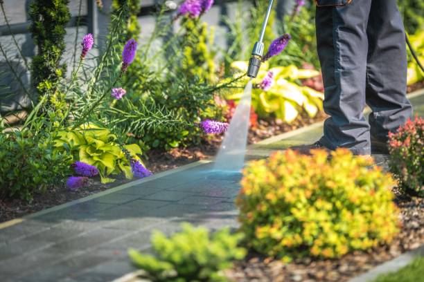 Best Fence Cleaning  in Marin City, CA